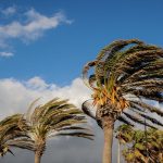 ilustrasi angin kencang