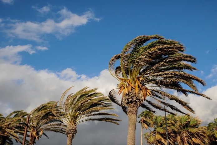 ilustrasi angin kencang