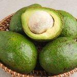 ilustrasi alpukat