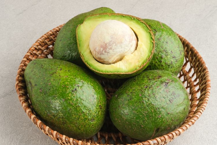 ilustrasi alpukat