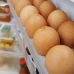 ilustrasi telur di kulkas