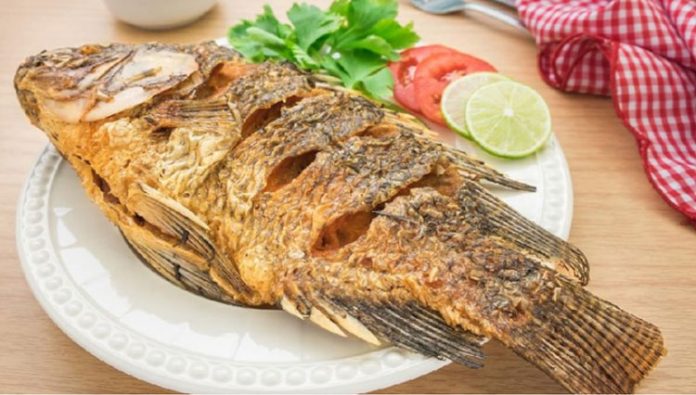 ilustrasi ikan goreng