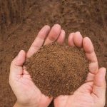 ilustrasi bungkil sawit