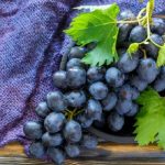 ilustrasi anggur hitam