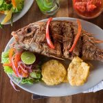 ilustrasi ikan goreng