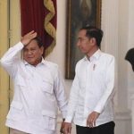 Isu Reshuffle Kabinet, Simak Fakta Pertemuan Jokowi dengan Prabowo.