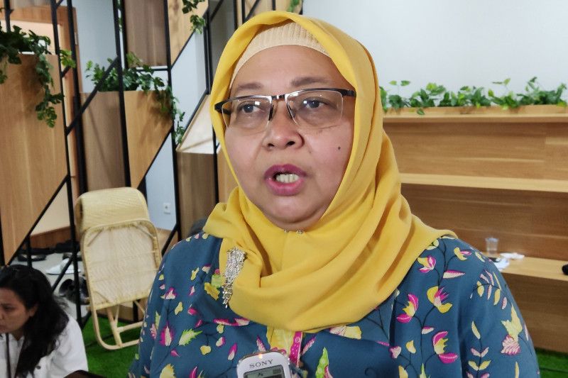 Plt Asisten Deputi Asdep Pengarusutamaan Gender Bidang Ekonomi KemenPPPA, Eko Novi Ariyanti