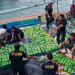 BNN bersama Bea Cukai berhasil menggagalkan upaya peredaran narkoba jenis sabu 309 paket yang diselundupkan menggunakan kapal nelayan pengangkut ikan melalui jalur laut di Perairan Selatan dan dibawa ke Pelabuhan Indah Kiat Cilegon.