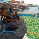 BNN bersama Bea Cukai berhasil menggagalkan upaya peredaran narkoba jenis sabu 309 paket yang diselundupkan menggunakan kapal nelayan pengangkut ikan melalui jalur laut di Perairan Selatan dan dibawa ke Pelabuhan Indah Kiat Cilegon.