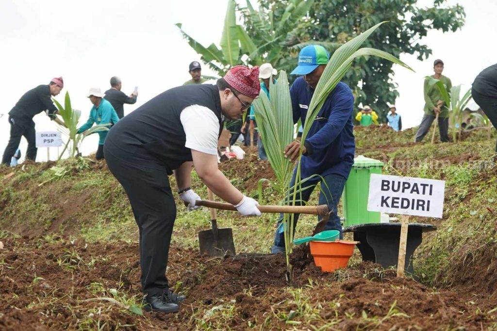 Bupati Kediri Hanindhito Himawan Pramana menanam kelapa genjah