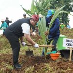Bupati Kediri Hanindhito Himawan Pramana menanam kelapa genjah