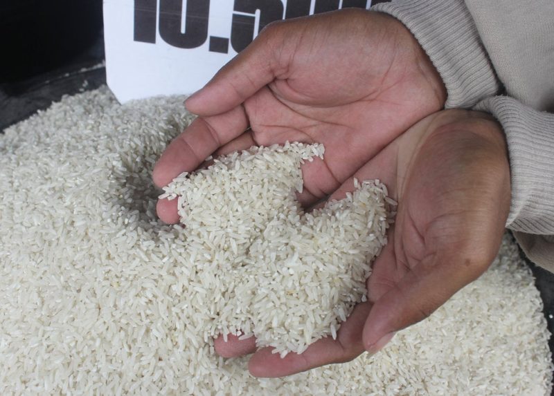ilustrasi beras