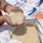 ilustrasi beras bulog