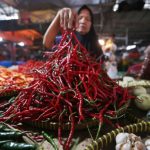 pedagang cabai