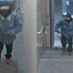 Aksi Penembakan Massal di Kampus Michigan State University, 3 Orang Tewas.