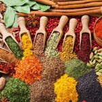 ilustrasi rempah-rempah