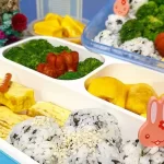 ilustrasi kotak makan