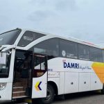 bus damri