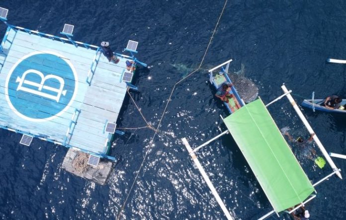 Foto udara sejumlah wisatawan mengunjungi objek wisata Hiu Paus di Desa Botubarani, Kabupaten Bone Bolango, Gorontalo, Rabu (8/3/2023).