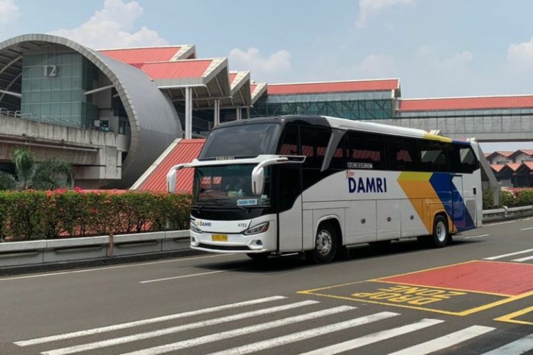bus damri