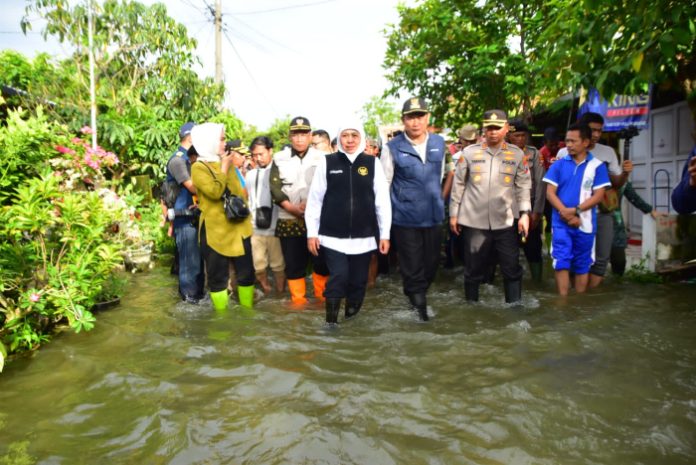 Waspada Penyakit Leptospirosis di Musim Hujan, Gubernur Khofifah Imbau Masyarakat Tingkatkan PHBS dan Pemeriksaan Dini
