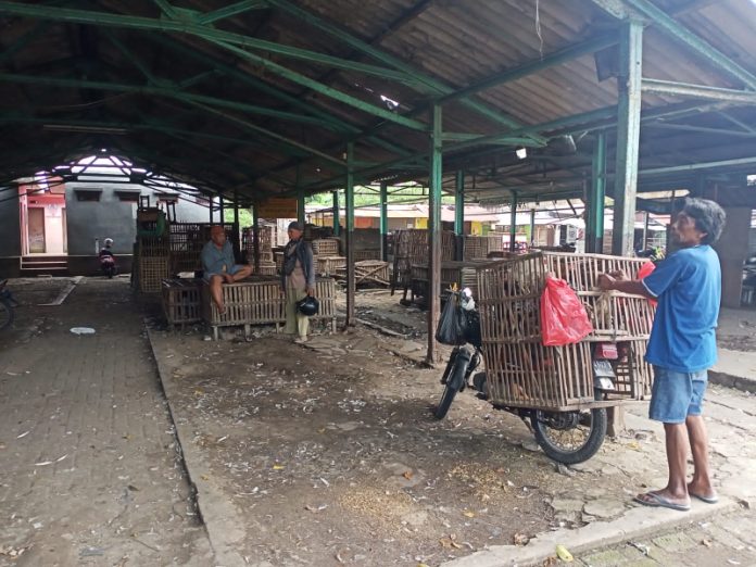 Pedagang Pasar ayam Cakarayam. Foto : Fio Atmaja