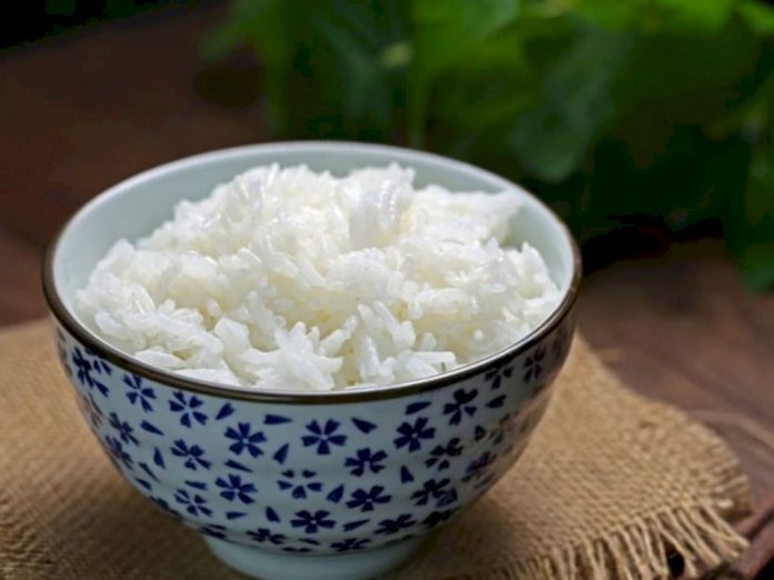 ilustrasi nasi shirataki