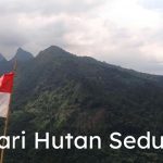 Hari Hutan Sedunia