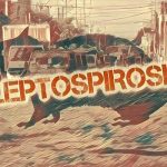 Mengenal Penyakit Leptospirosis, Penyebab serta Pencegahannya