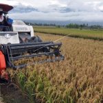 BRIN sebut Teknologi jadi Solusi Optimalkan Sektor Pertanian