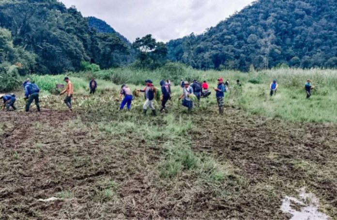 Perum Perhutani dan PT Perhutani Alam Wisata tanam 5.000 bibit tanaman pasca kerusakan lahan hutan di Ranca Upas, Ciwidey, Jawa Barat