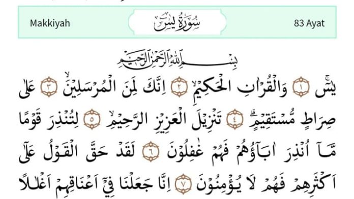 Bacaan Surat Yasin untuk Orang yang Telah Meninggal