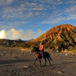 Wisata Gunung Bromo