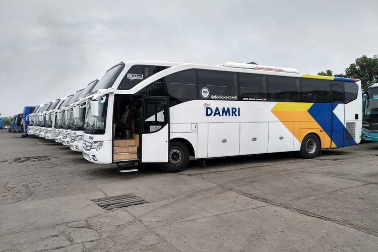 Bus DAMRI