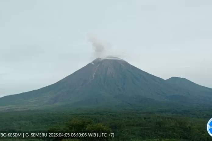 Gunung Semeru Mengalami 14 Kali Gempa Letusan Hari Ini