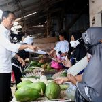 Presiden dan Ibu Iriana Cek Harga Kebutuhan Pokok di Pasar Sambonggede