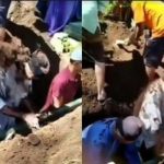 Video Viral Kakek Dilempar Tanah saat Bantu Menguburkan Jenazah Bikin Warganet Geram