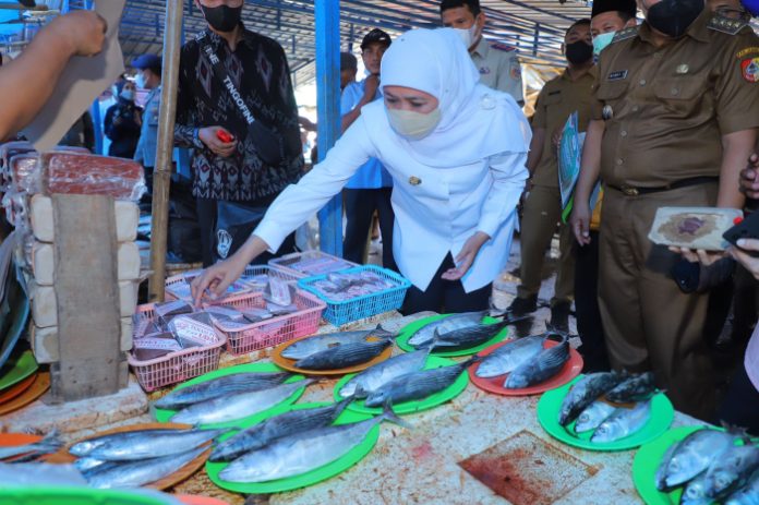 Peringatan Hari Nelayan Nasional, Gubernur Khofifah: Nelayan Berkontribusi Signifikan dalam Perekonomian dan Ketahanan Pangan Jatim