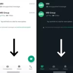 WhatsApp Siapkan Perubahan Tampilan di Android Mirip iOS