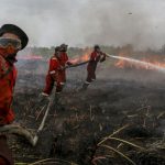 kebakaran hutan dan lahan (karhutla)