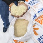 ilustrasi beras bulog