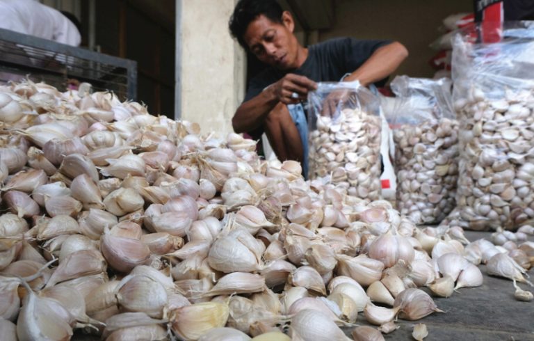 ilustrasi pedagang bawang putih