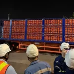 JAPFA Ekspor 23 Ribu Ayam Hidup ke Singapura