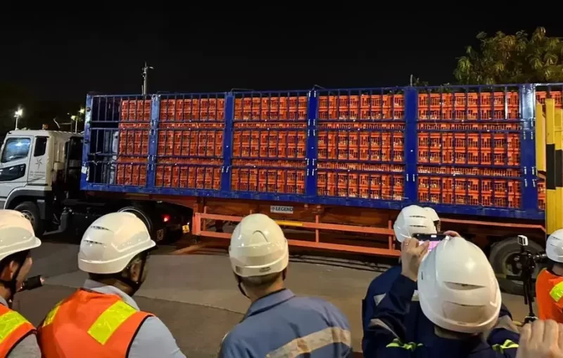 JAPFA Ekspor 23 Ribu Ayam Hidup ke Singapura