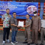 JAPFA Ekspor 23 Ribu Ayam Hidup ke Singapura