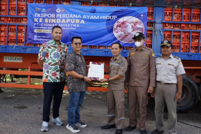 JAPFA Ekspor 23 Ribu Ayam Hidup ke Singapura