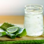 ilustrasi lidah buaya