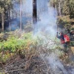 Kemarau Panjang, Status Tanggap Darurat Kekeringan Diusulkan Oleh BPBD Kabupaten Mojokerto.