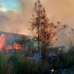 Kondisi Medan Sulit, Kebakaran Lereng Gunung Welirang Belum Bisa Dipadamkan