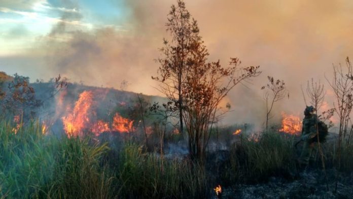 Kondisi Medan Sulit, Kebakaran Lereng Gunung Welirang Belum Bisa Dipadamkan